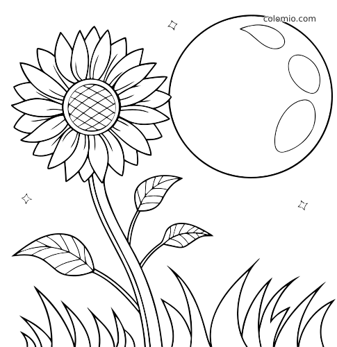 Un alto girasole con foglie ed erba sotto una grande luna piena, in una semplice scena notturna con piccole stelle.