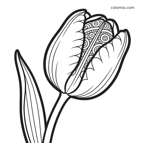 A close-up of a closed tulip bud with detailed patterned petals and one long leaf in black and white line art.