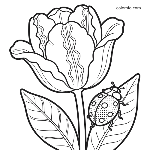 A detailed tulip bloom with layered petals and a spotted ladybug climbing on a large leaf beside the stem.
