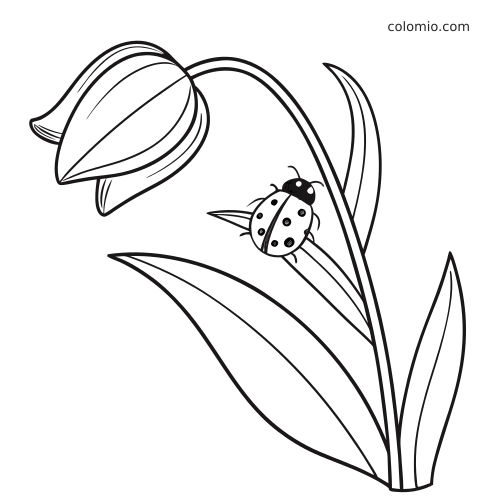 A simple side-view tulip with long leaves and a small ladybug climbing on a narrow leaf near the stem.