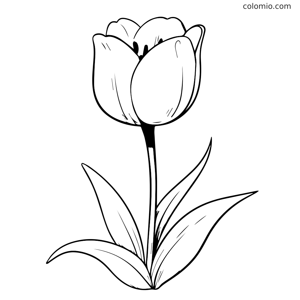 Un simple contour d'une fleur de tulipe avec des feuilles, parfait pour colorier.