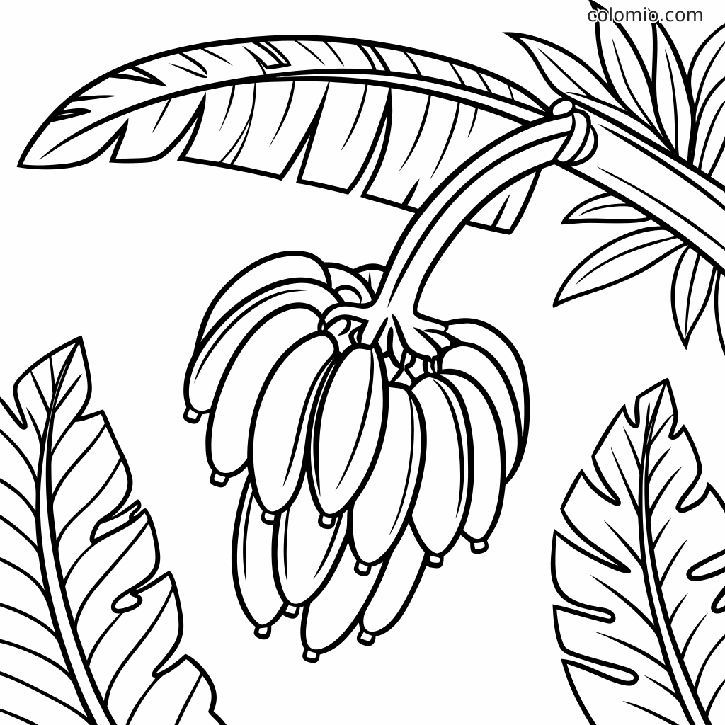 Disegno da colorare in bianco e nero che mostra un banano con un casco di banane pendenti e grandi foglie tropicali.