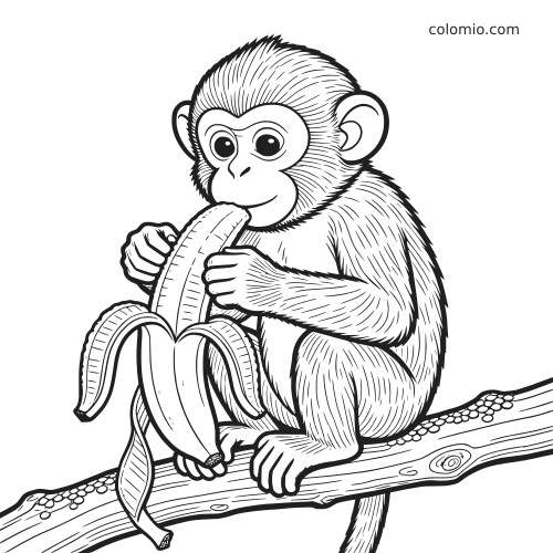 A detailed black-and-white monkey sits on a tree branch and peels a large banana, with textured fur and realistic linework.