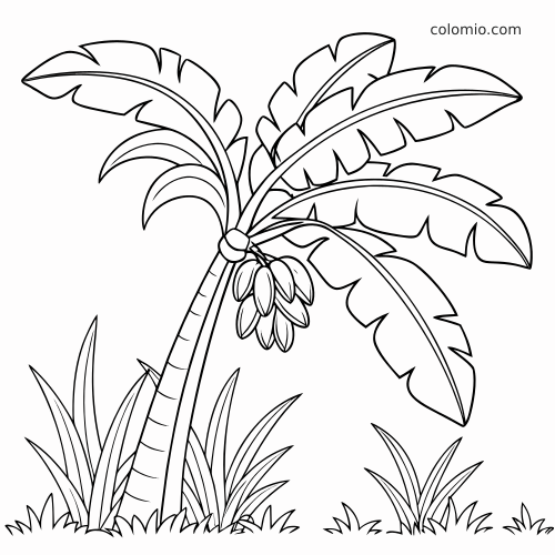 A simple line drawing of a leaning banana tree with a small bunch of bananas and grass in a jungle scene.