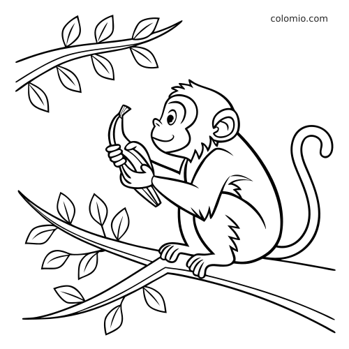 A simple cartoon monkey sits on a leafy branch holding a peeled banana, drawn with bold clean outlines and minimal detail.