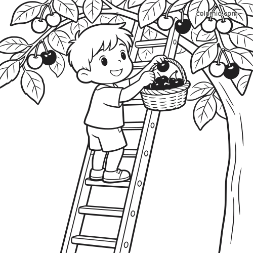 Un bambino in stile cartone animato è su una scala e raccoglie ciliegie da un albero pieno di foglie, mettendole in un cestino.