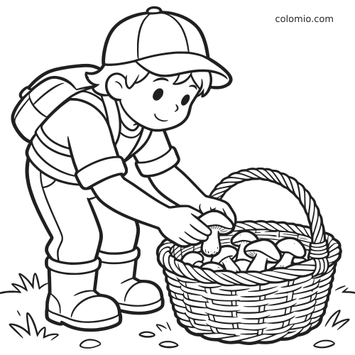 Un giovane raccoglitore con zaino e cappellino prende dei funghi e li mette in un grande cesto di vimini.