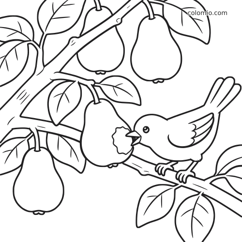 Un uccellino è posato su un ramo di pero e becca una pera, circondato da altre pere e foglie in un semplice disegno al tratto.