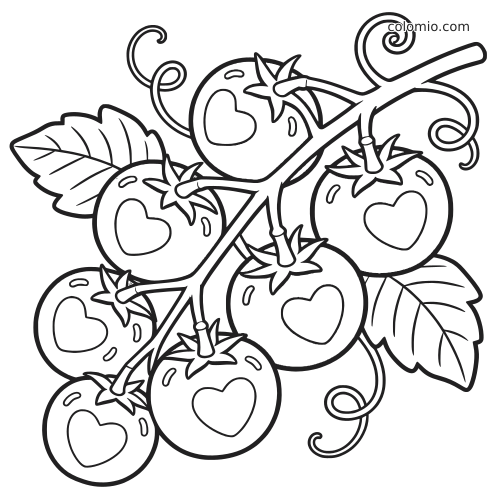 Disegno da colorare in bianco e nero con pomodori a forma di cuore sul tralcio, con viticci arricciati e grandi foglie.