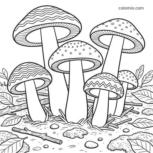 Disegno da colorare in bianco e nero con diversi funghi dettagliati sul terreno del bosco, tra foglie, rametti, muschio e cappelli decorati.