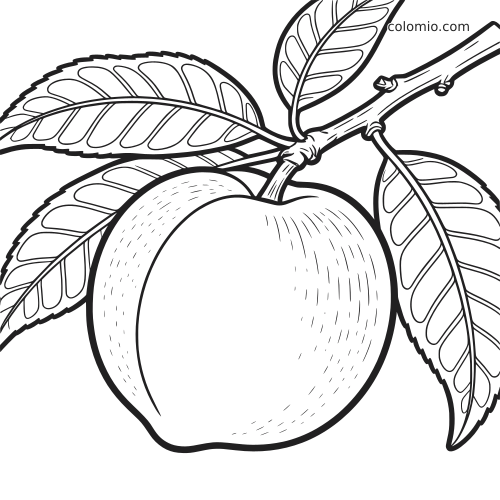 Disegno al tratto ravvicinato di una pesca dettagliata appesa a un ramo, circondata da grandi foglie.