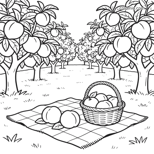 Scena in bianco e nero con filari di peschi carichi di pesche, una coperta da picnic e un cesto di pesche in primo piano.
