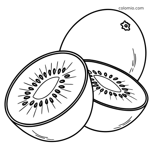 Semplice disegno al tratto con due metà di kiwi tagliate, con i semi visibili, accanto a un kiwi intero sullo sfondo.