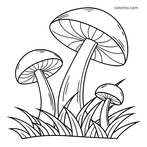 Disegno da colorare in bianco e nero con tre funghi semplici che crescono tra fili d’erba alti, visti dal basso.