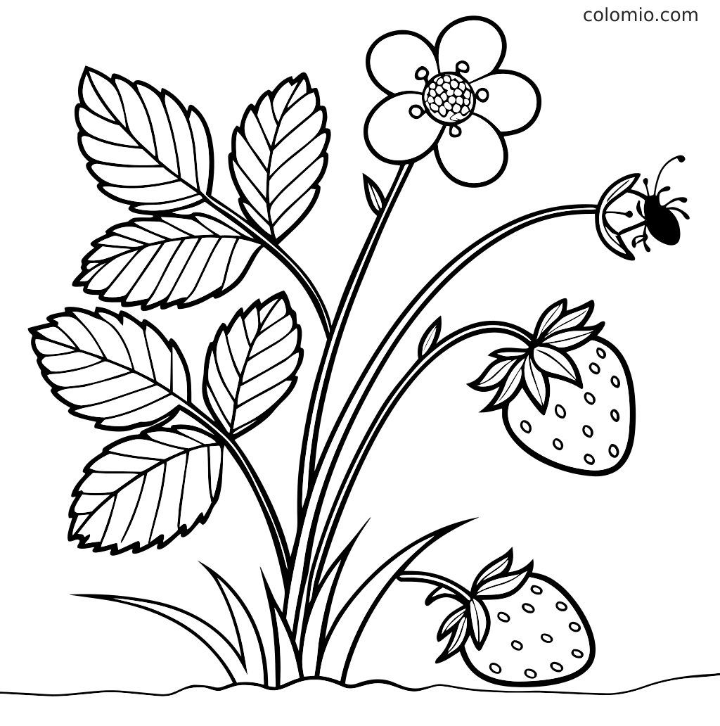 Uma página para colorir mostrando uma planta de morango com folhas, uma flor, dois morangos e um pequeno inseto em um caule curvo.