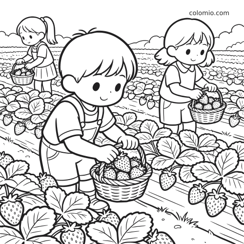 Zwart-witte tekening van drie kinderen die aardbeien plukken op een veld en manden vullen met aardbeien.