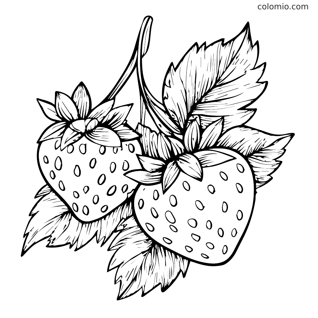 Contorno in bianco e nero di due fragole con foglie, perfetto per colorare.