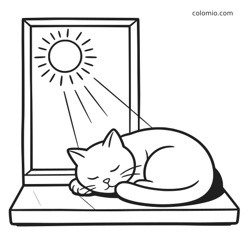 Desenho de linha simples de um gato dormindo, enrolado no parapeito da janela, com raios de sol entrando pela janela.