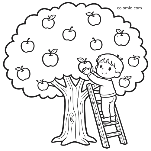 Een kind staat op een houten ladder en plukt een appel uit een grote appelboom vol appels.