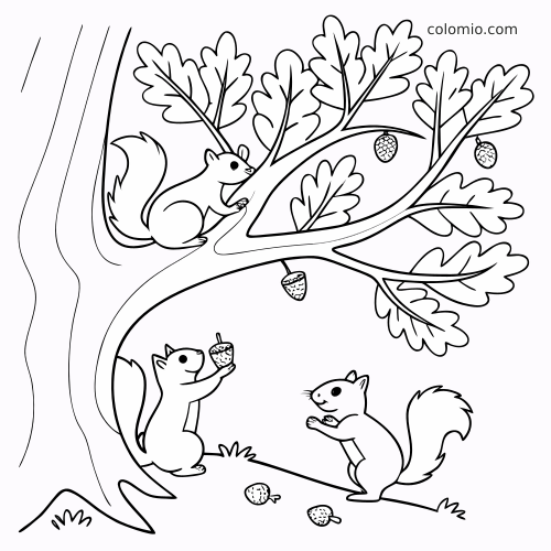 Eenvoudige zwart-witte tekening van een eikenboom met drie eekhoorns die klimmen en eikels vasthouden tussen de bladeren.