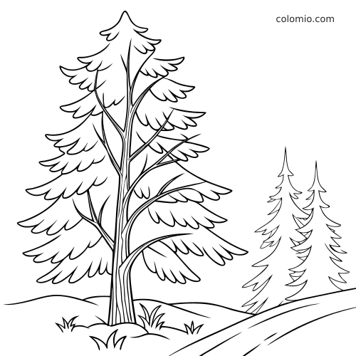 Eenvoudige lijntekening van een besneeuwde den in een winterbos, met twee kleinere naaldbomen en glooiende sneeuwheuvels.