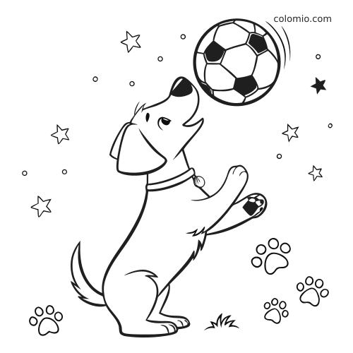 Un chien en dessin animé tient en équilibre un ballon de football sur son museau, entouré d’étoiles et d’empreintes de pattes.