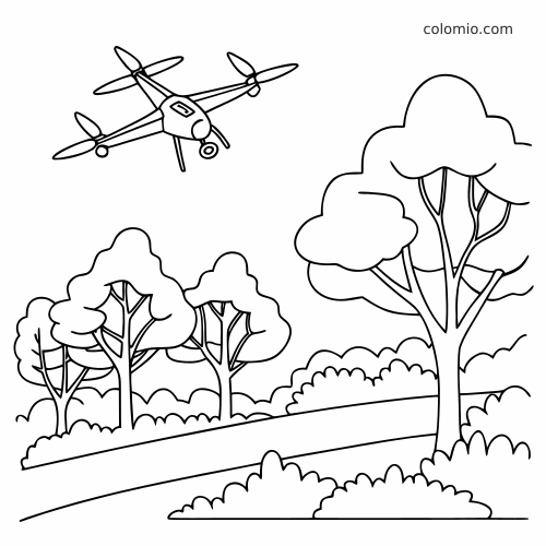 Vista em ângulo de um drone quadricóptero voando sobre um caminho de parque com árvores altas e arbustos em contorno preto e branco.